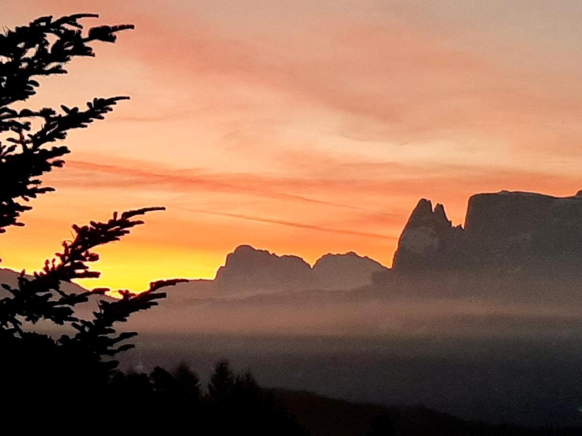 Wiesenhof Collalbo Dış mekan fotoğraf